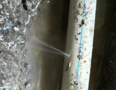 枣强测漏水哪家好