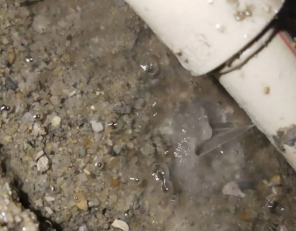 枣强测漏水电话号码