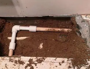 枣强测漏水哪家好