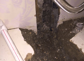 枣强卫生间测漏水哪家好