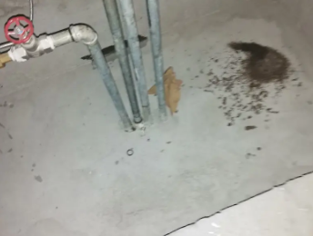 枣强卫生间测漏水价格明细