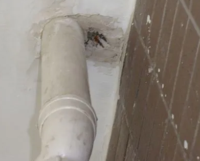 枣强漏水检测哪家好